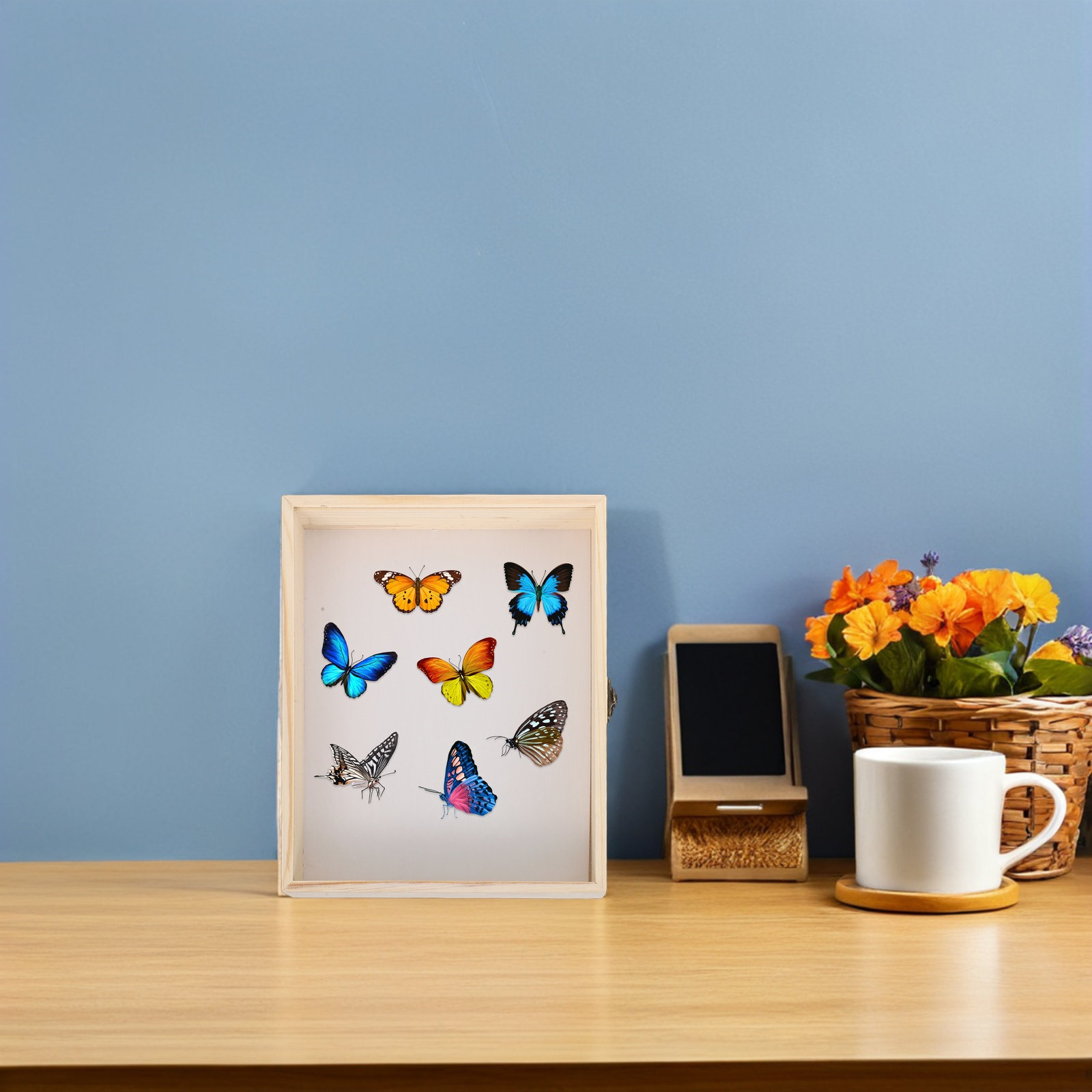 Solid Wood Insect Specimen Dis - Frame Display Wood recension och pris